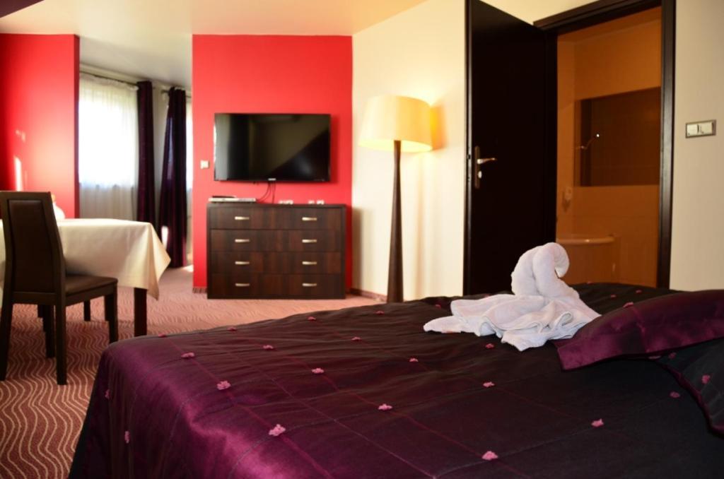 Hotel Azalia & Spa ニエポウォミツェ 部屋 写真